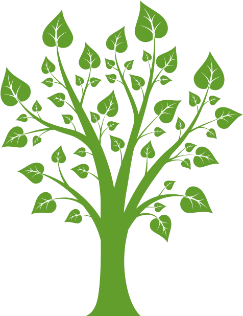 Tree illustration